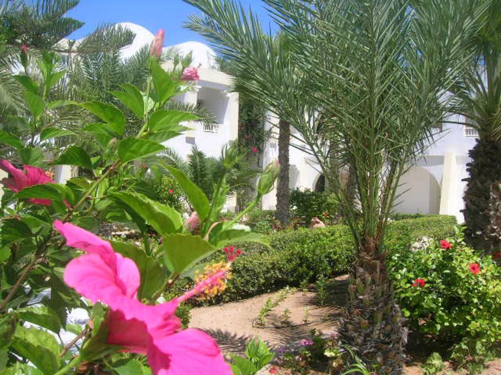 Cedriana Hotel Midoun Exterior photo